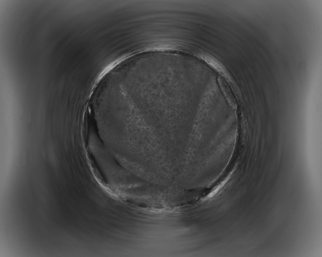 X0000087420842200705041306
