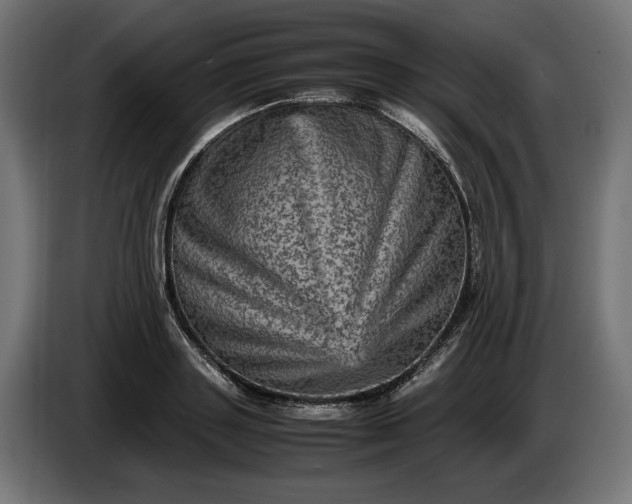 X0000087420843200705041306