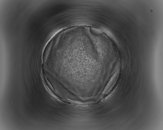 X0000087420844200705041306