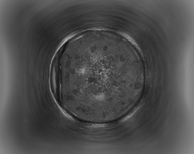 X0000087420845200705041306