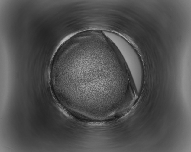X0000087420846200705041306