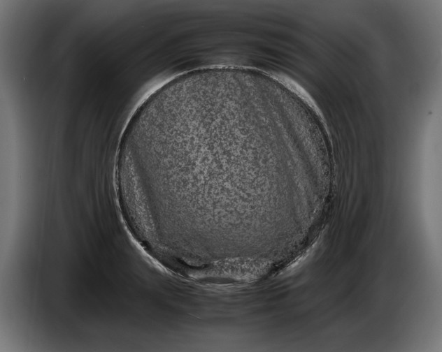 X0000087420847200705041306