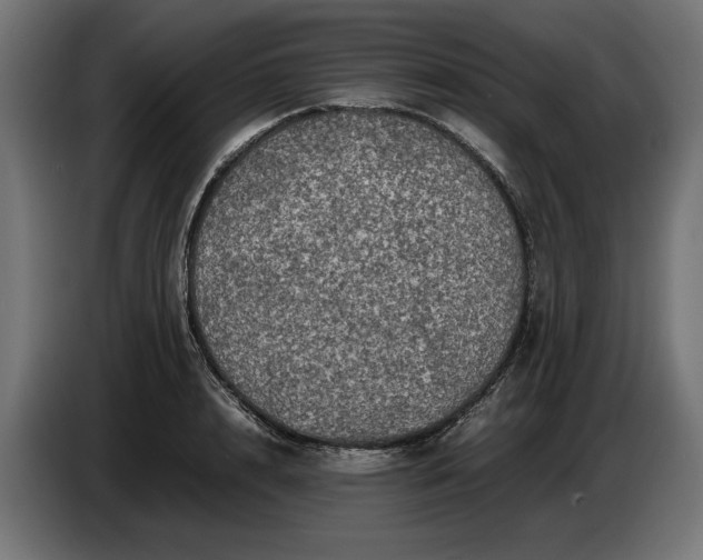 X0000087420848200705041306