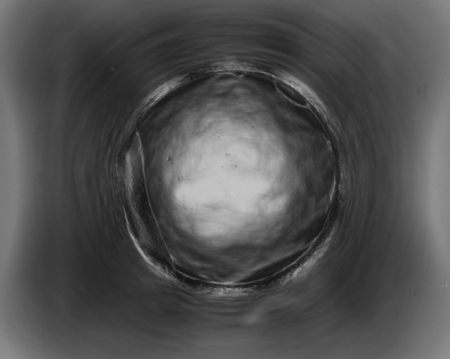 X0000087420849200705041306