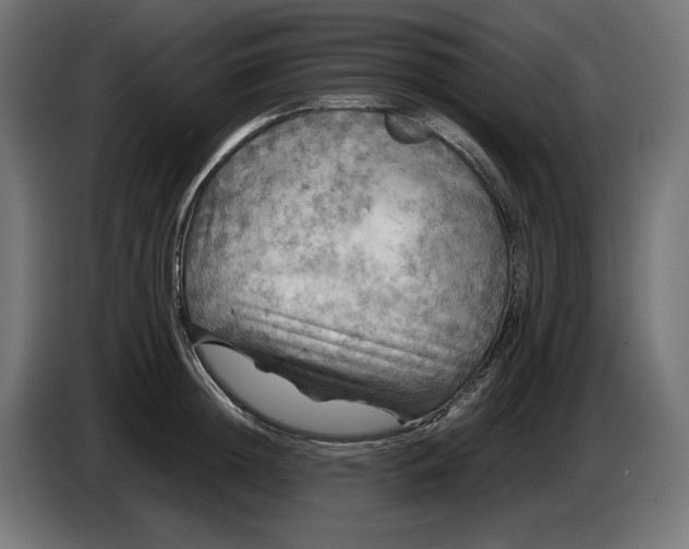X0000087420852200705041306
