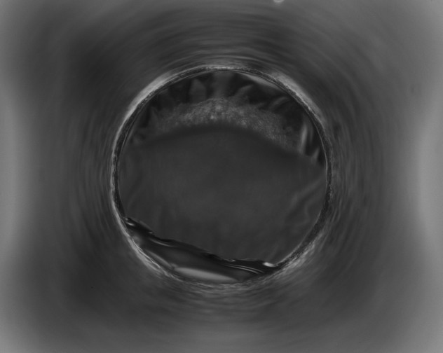 X0000087420853200705041306