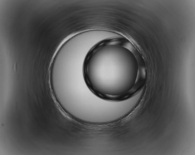 X0000087420854200705041306