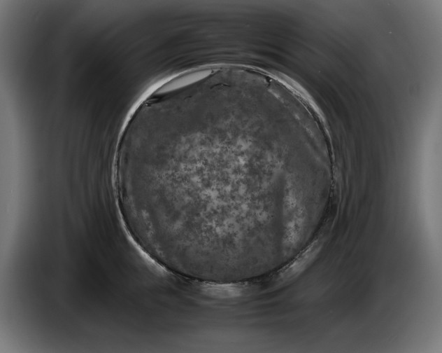 X0000087420855200705041306