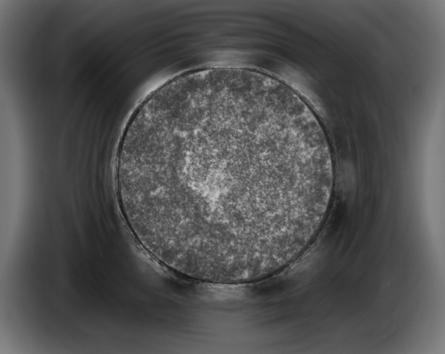 X0000087420856200705041306