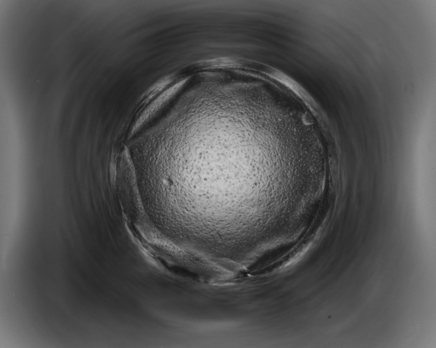 X0000087420857200705041306