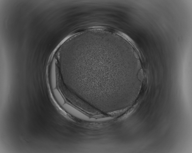 X0000087420859200705041306