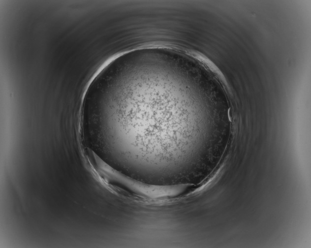 X0000087420860200705041306
