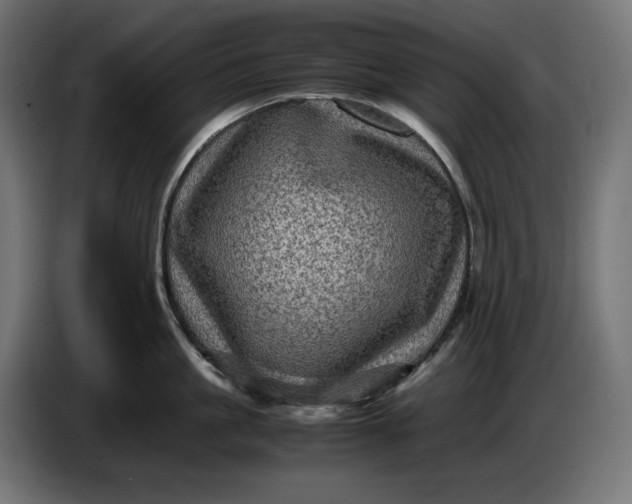 X0000087420861200705041306