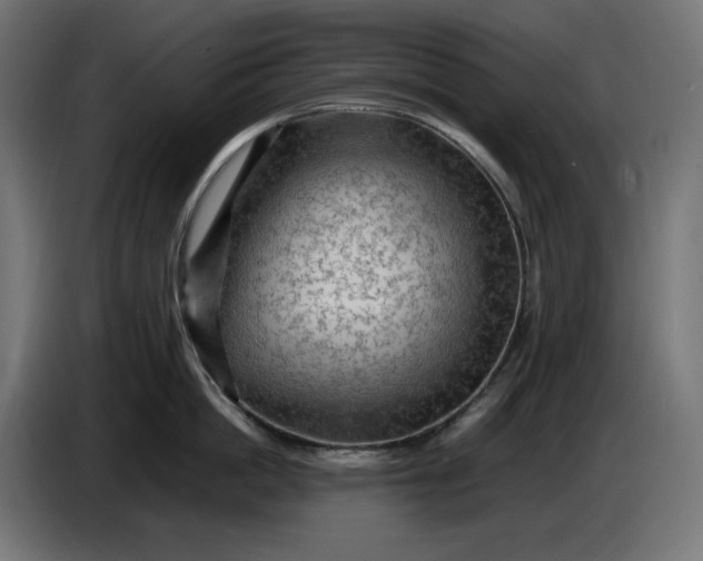 X0000087420862200705041306