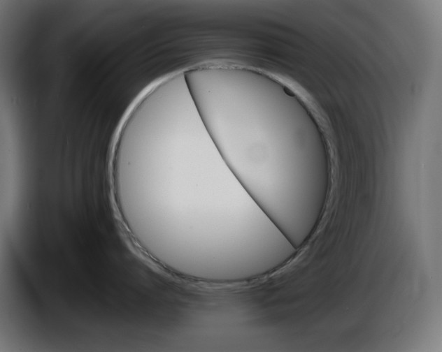 X0000087420864200705041306