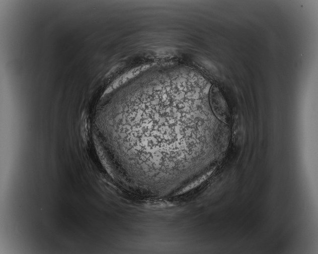 X0000087420866200705041306