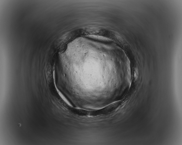 X0000087420867200705041306