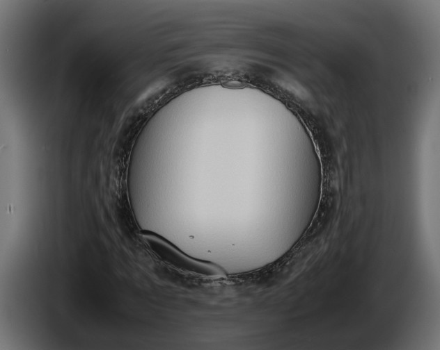 X0000087420869200705041306