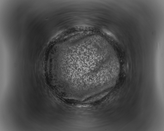 X0000087420870200705041306