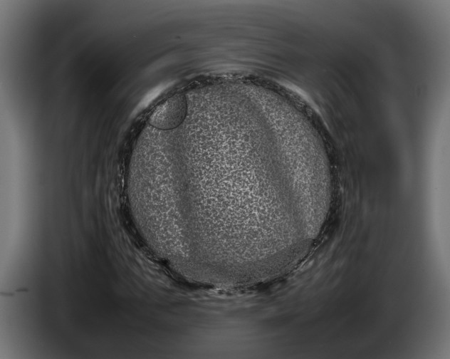 X0000087420871200705041306