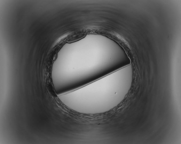 X0000087420872200705041306