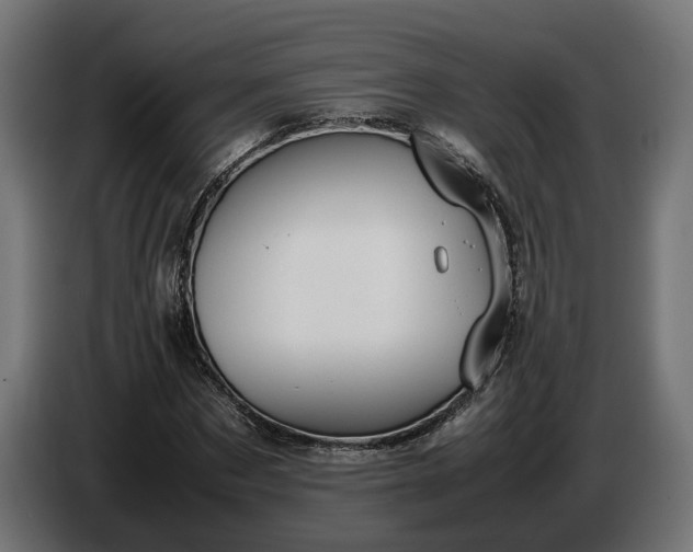 X0000087420873200705041306