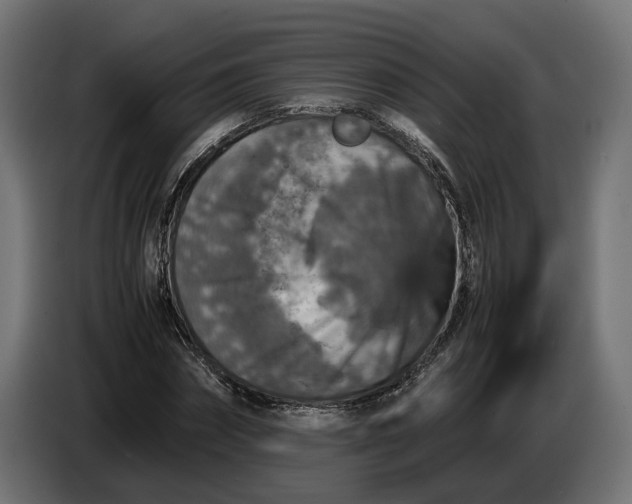 X0000087420874200705041306