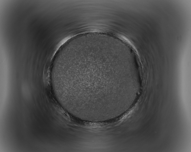 X0000087420875200705041306