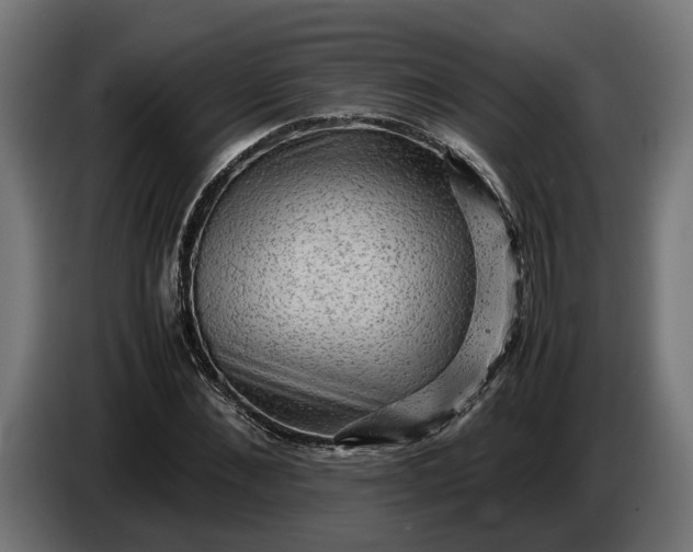 X0000087420876200705041306