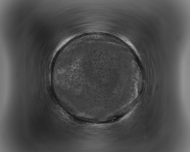 X0000087420877200705041306