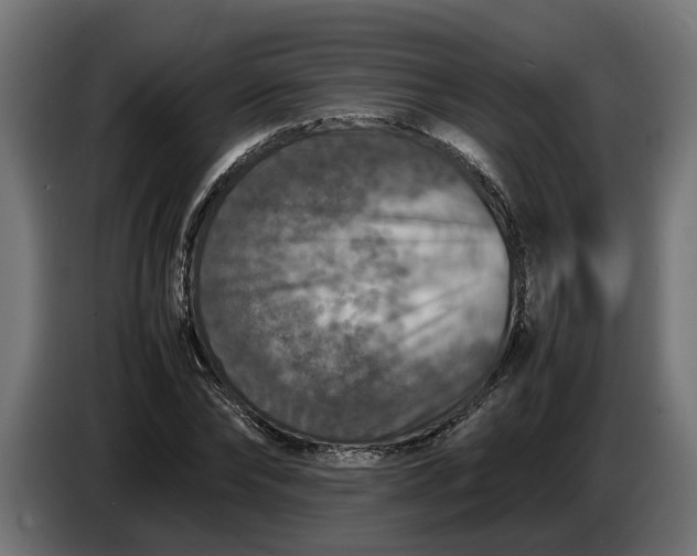 X0000087420878200705041306