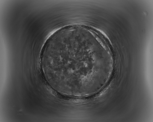 X0000087420879200705041306