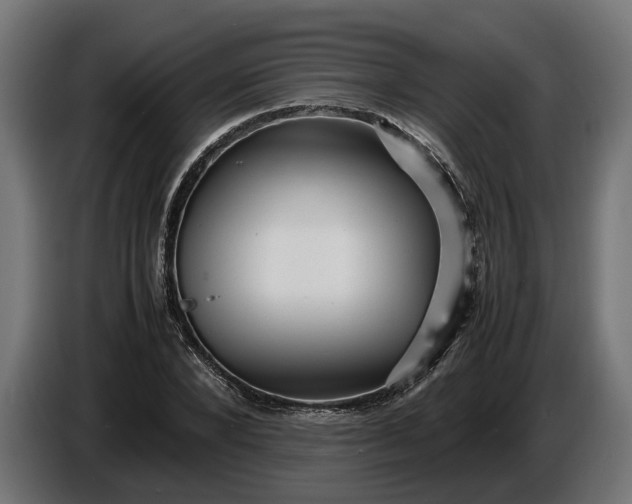 X0000087420880200705041305