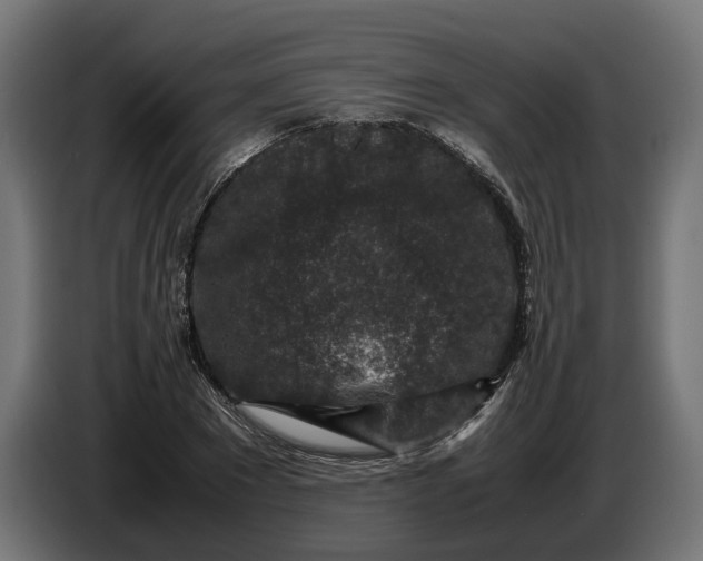 X0000087420881200705041305