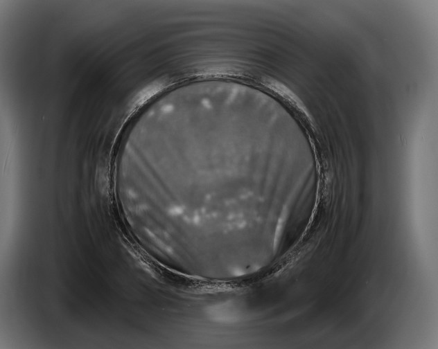 X0000087420882200705041305