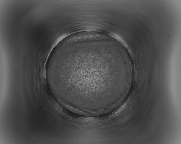 X0000087420883200705041305