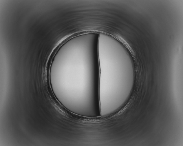X0000087420884200705041305