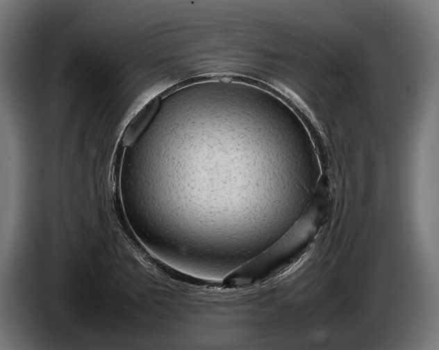 X0000087420885200705041305