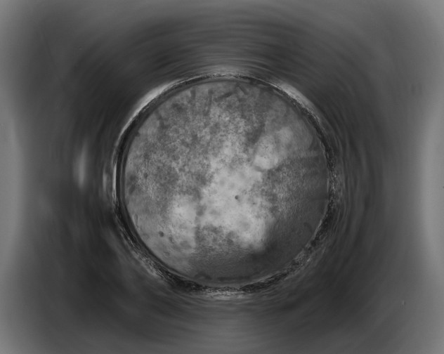 X0000087420886200705041305