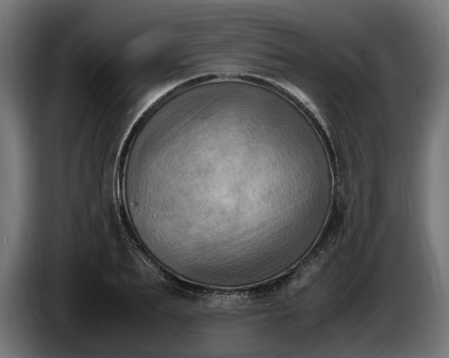 X0000087420887200705041305