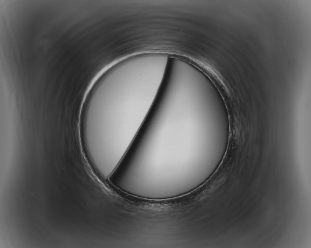 X0000087420888200705041305