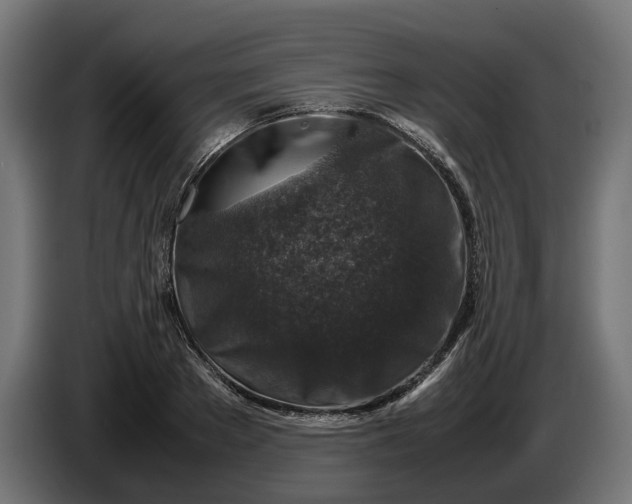 X0000087420889200705041305