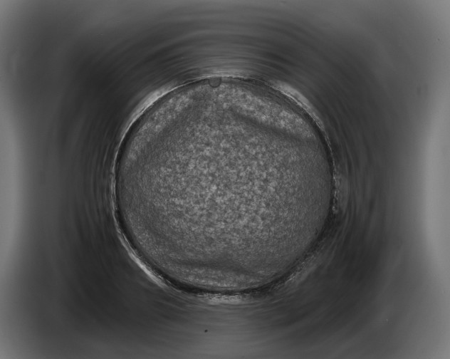 X0000087420890200705041305