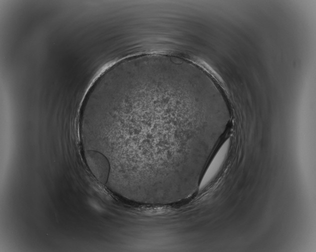 X0000087420891200705041305
