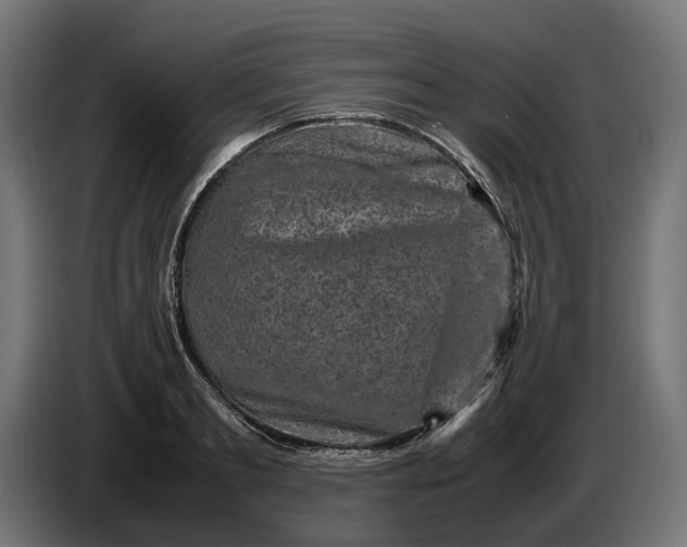 X0000087420893200705041305