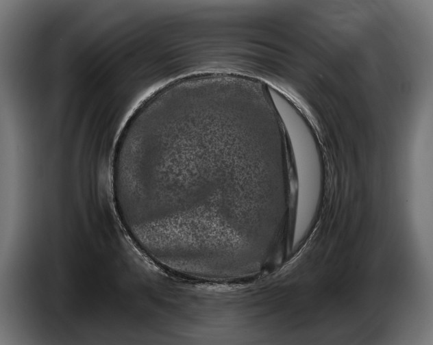 X0000087420896200705041305