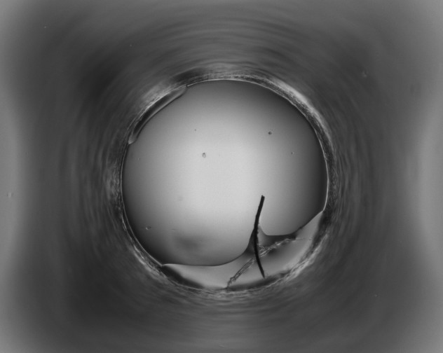 X0000087420897200705041305