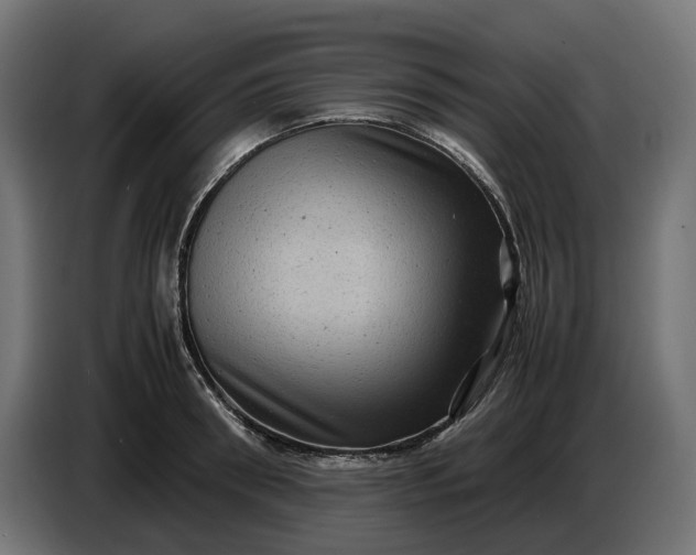 X0000087420898200705041305