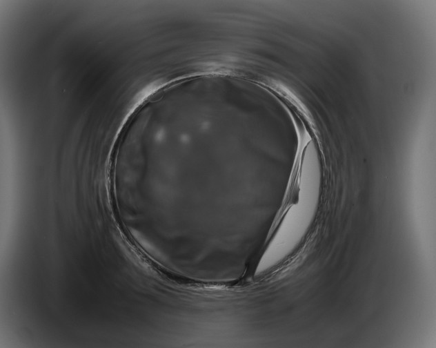X0000087420899200705041305