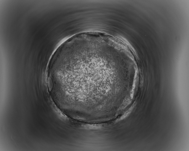 X0000087420900200705041305